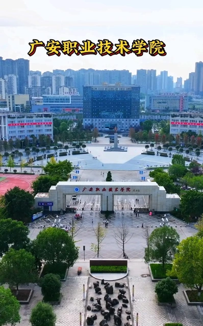 公办大学