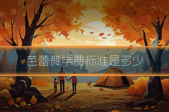 芭蕾舞学费标准是多少