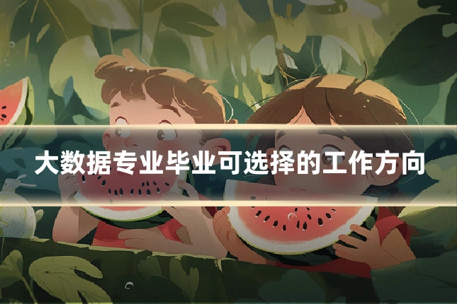 大数据专业毕业可选择的工作方向