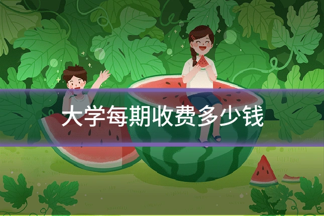 大学每期收费多少钱