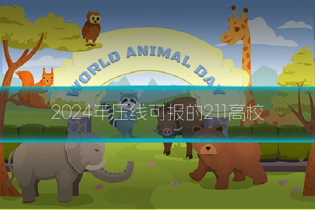 2024年压线可报的211高校