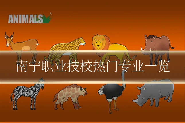 南宁职业技校热门专业一览