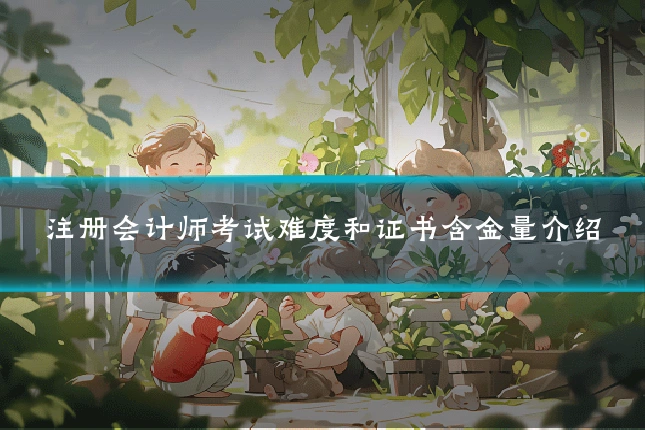 注册会计师考试难度和证书含金量介绍