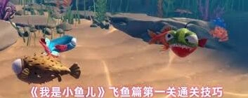 我是小鱼儿飞鱼基础操作详解