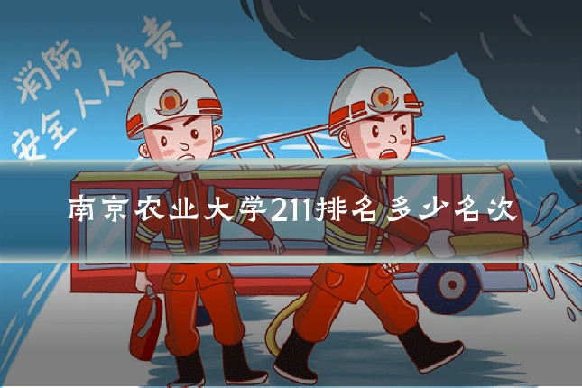 南京农业大学211排名多少名次