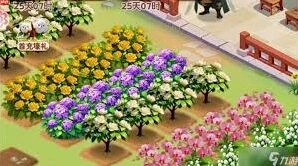 我的花园世界山茶花养护心得