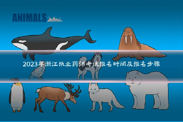 2023年浙江执业药师考试报名时间及报名步骤