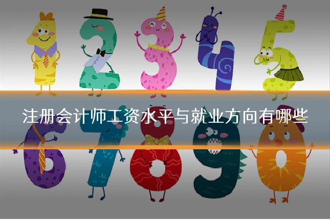 注册会计师工资水平与就业方向有哪些