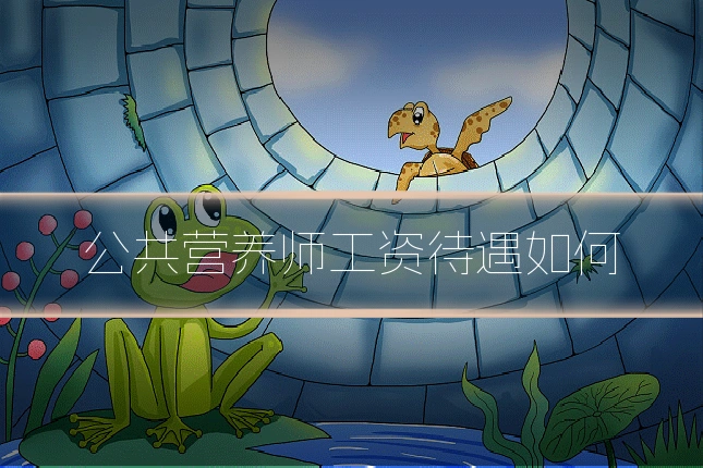公共营养师工资待遇如何