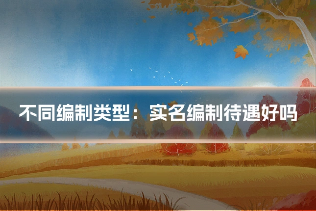 不同编制类型:实名编制待遇好吗
