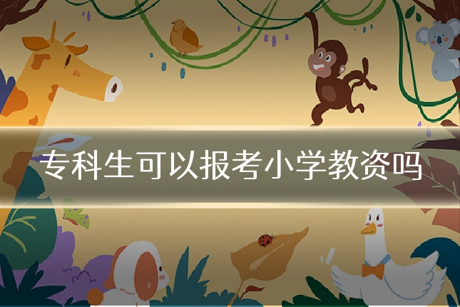 专科生可以报考小学教资吗
