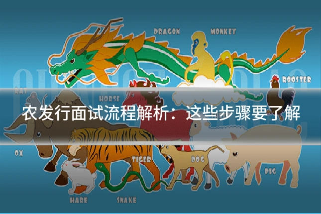 农发行面试流程解析:这些步骤要了解
