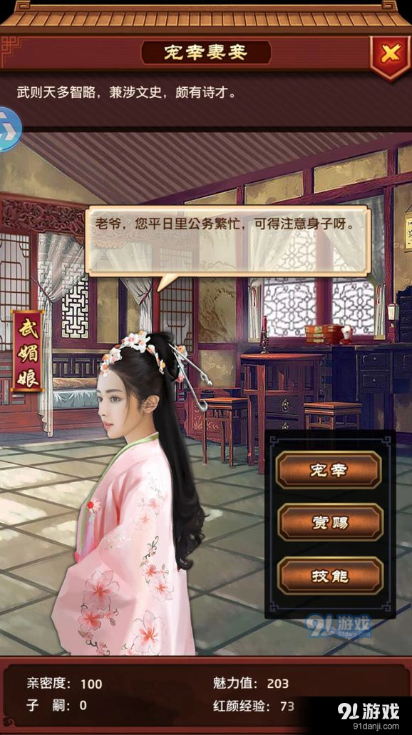 极品芝麻官红颜玩法全解