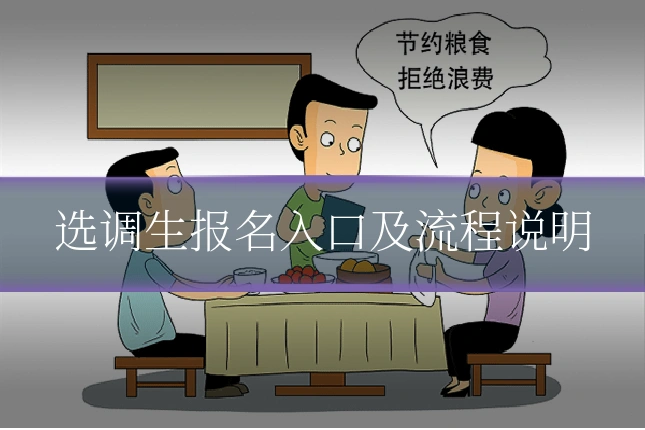 选调生报名入口及流程说明
