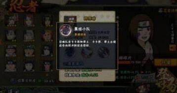 火影忍者限定忍者野原琳介绍