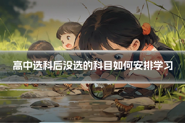 高中选科后没选的科目如何安排学习