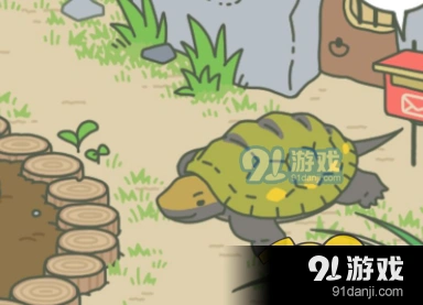 旅行青蛙乌龟爱吃啥 食物种类分享