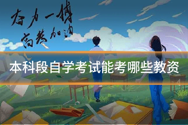 本科段自学考试能考哪些教资
