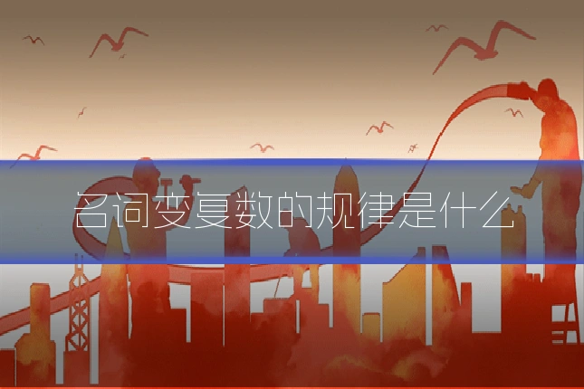 名词变复数的规律是什么