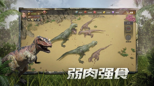 征服荒野