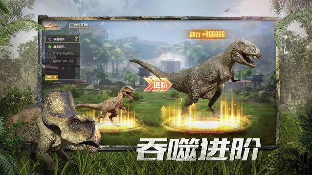 成长路线