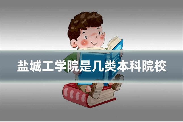 盐城工学院是几类本科院校