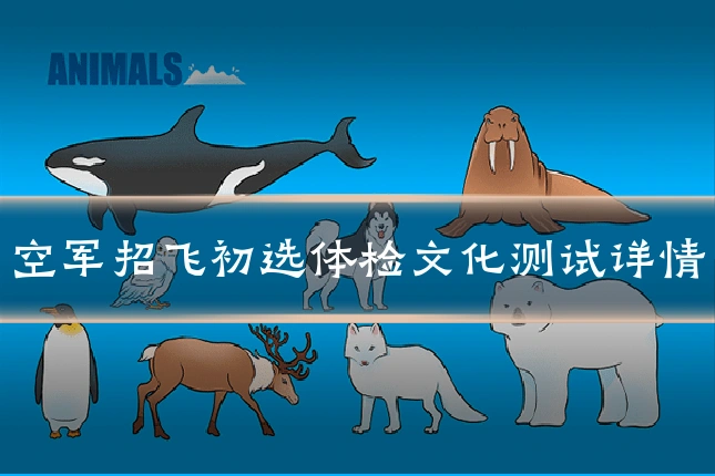 空军招飞初选体检文化测试详情