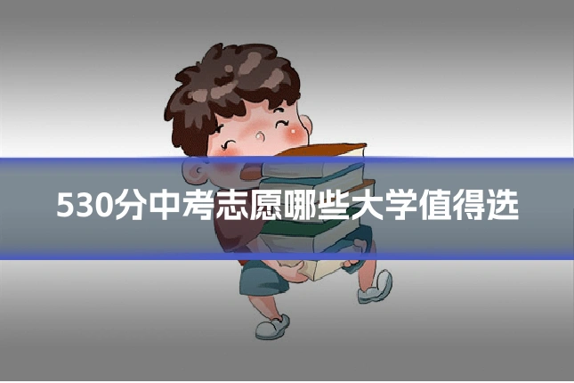530分中考志愿哪些大学值得选
