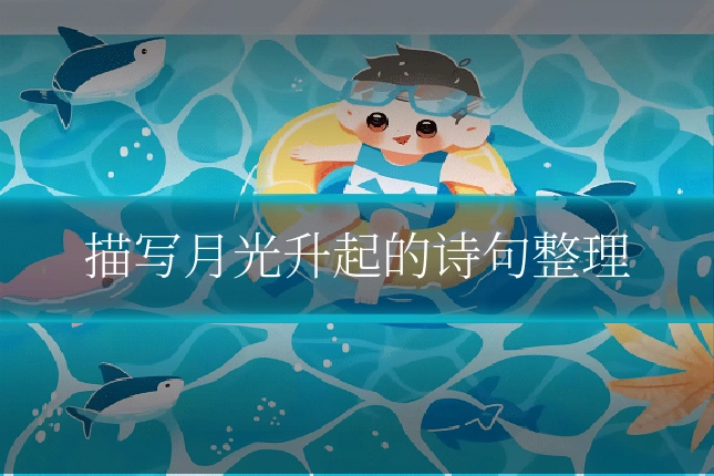 描写月光升起的诗句整理