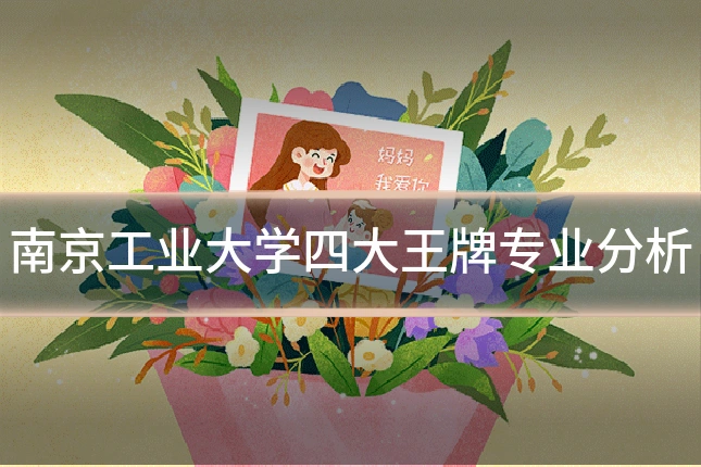 南京工业大学四大王牌专业分析