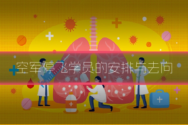 空军停飞学员的安排与去向