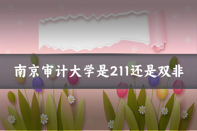 南京审计大学是211还是双非