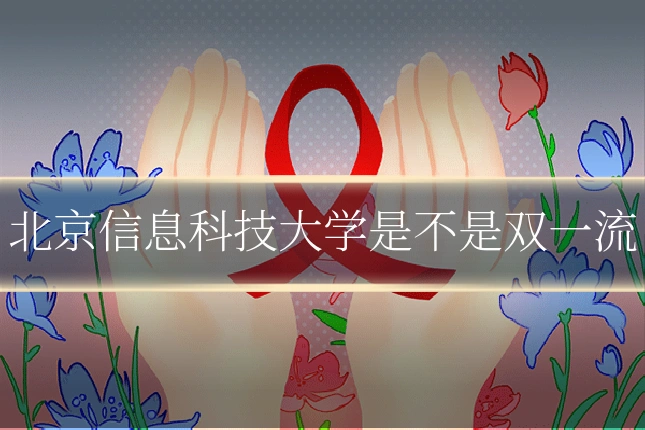 北京信息科技大学是不是双一流