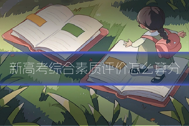 新高考综合素质评价怎么算分