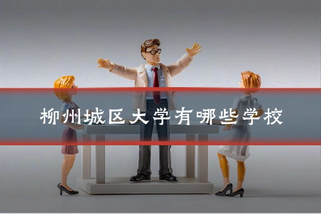 柳州城区大学有哪些学校