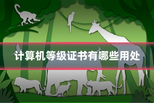 计算机等级证书有哪些用处