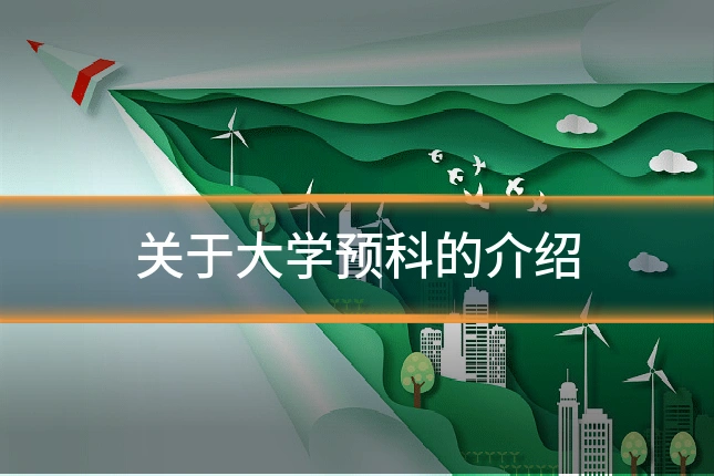 关于大学预科的介绍