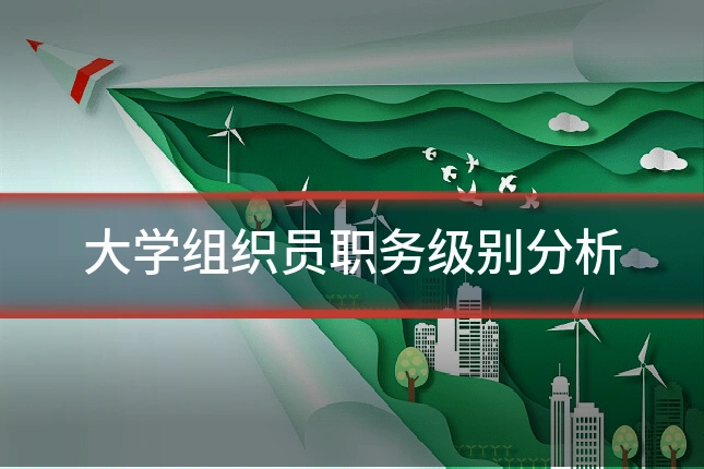 大学组织员职务级别分析