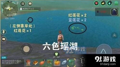 创造与魔法蓝莲花获取技巧