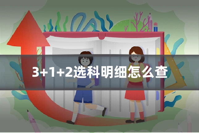 3+1+2选科明细怎么查