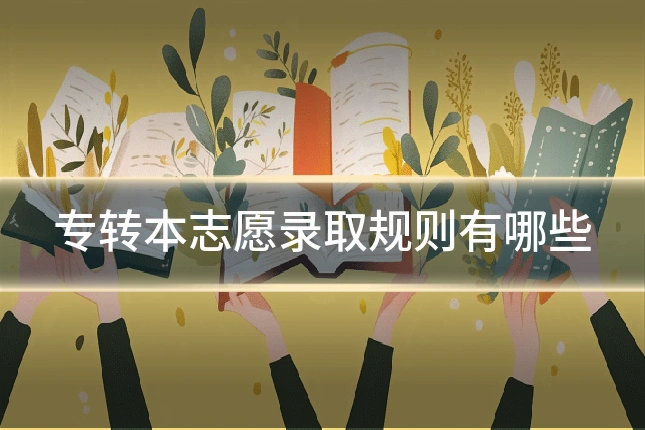 专转本志愿录取规则有哪些
