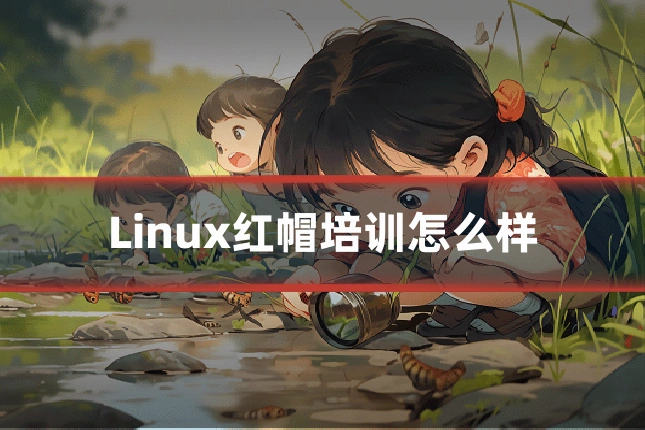Linux红帽培训怎么样