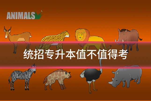统招专升本值不值得考