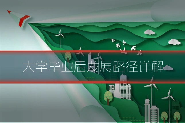 大学毕业后发展路径详解