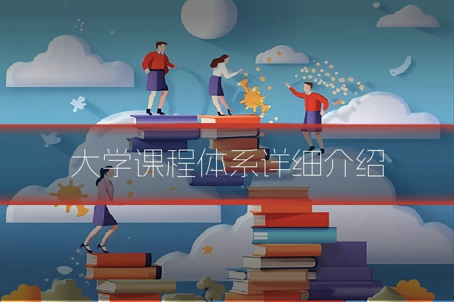 大学课程体系详细介绍