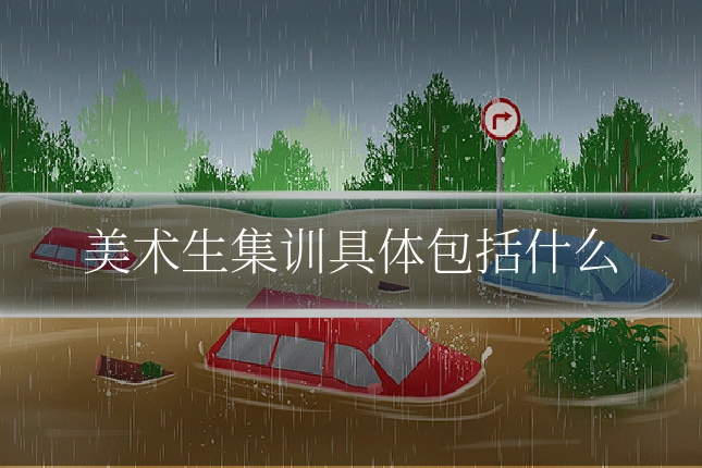 美术生集训具体包括什么