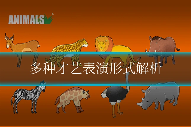 多种才艺表演形式解析