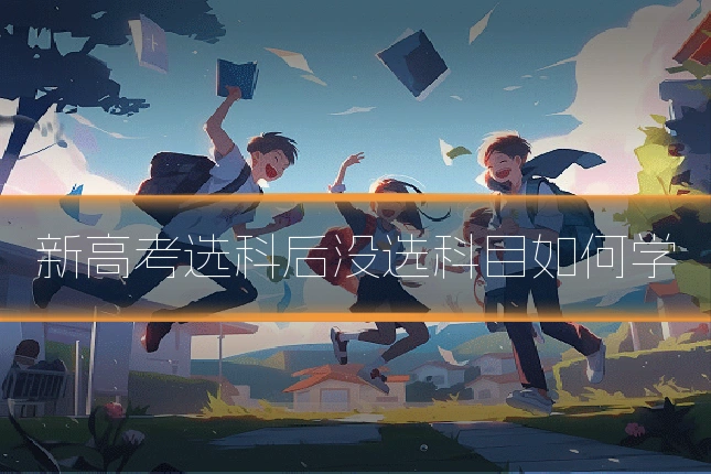 新高考选科后没选科目如何学