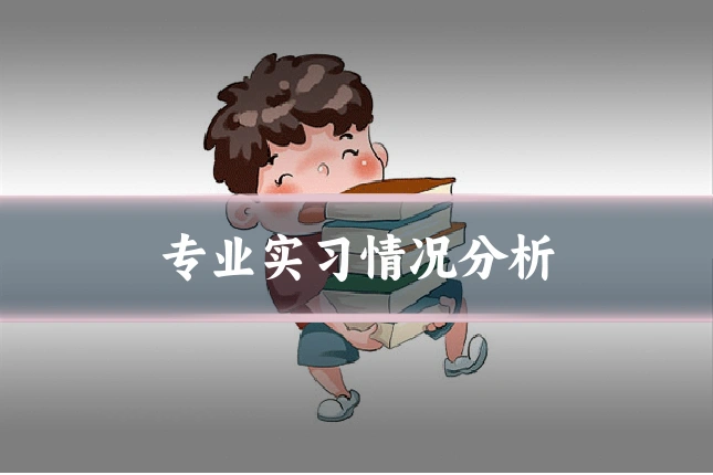 专业实习情况分析