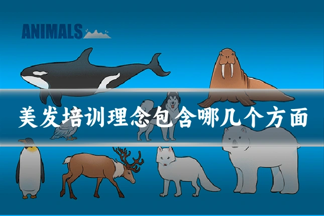 美发培训理念包含哪几个方面